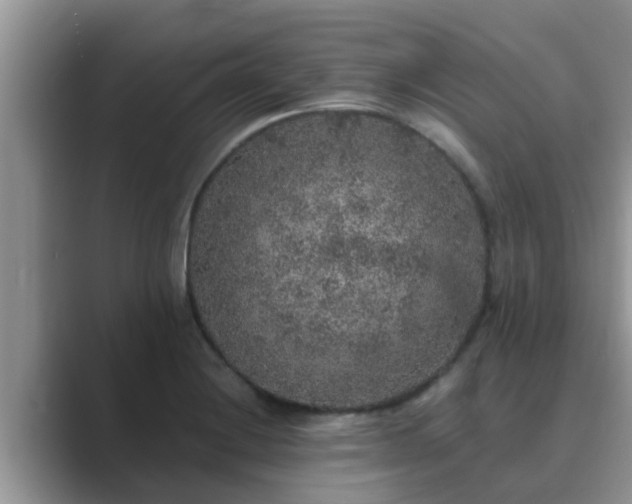 X0000089881228200707051204