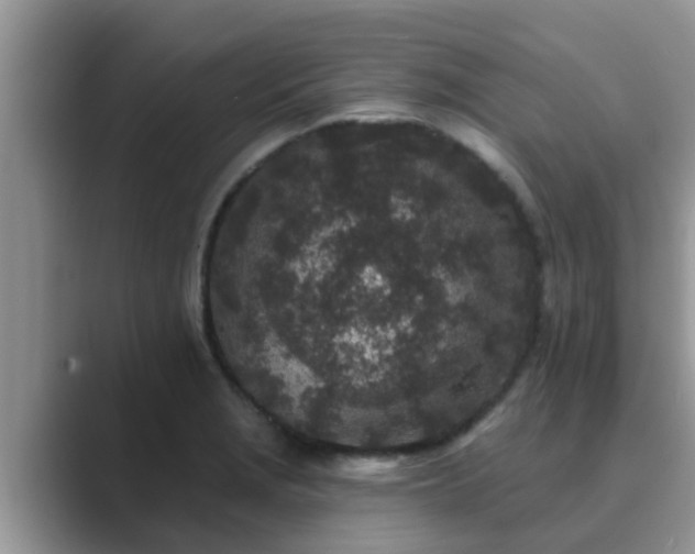 X0000089881229200707051204