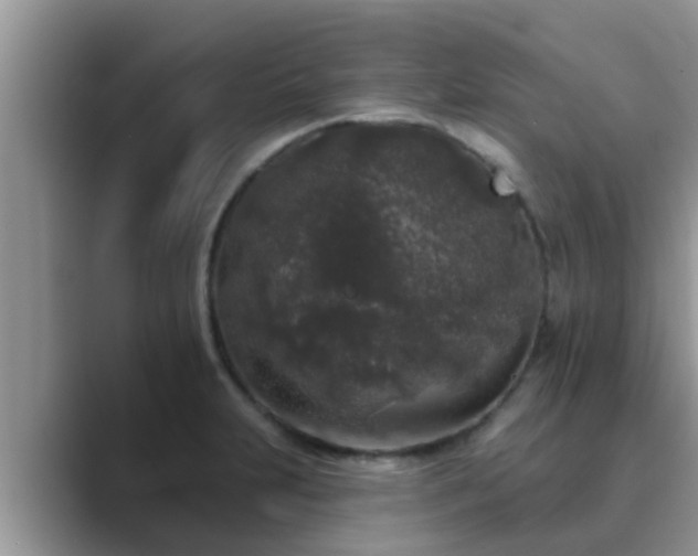 X0000089881231200707051204