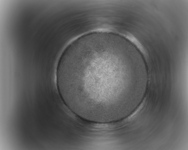 X0000089881232200707051204