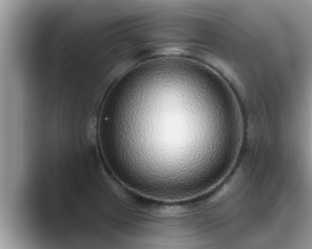 X0000089881233200707051204