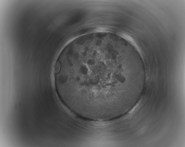 X0000089881235200707051204