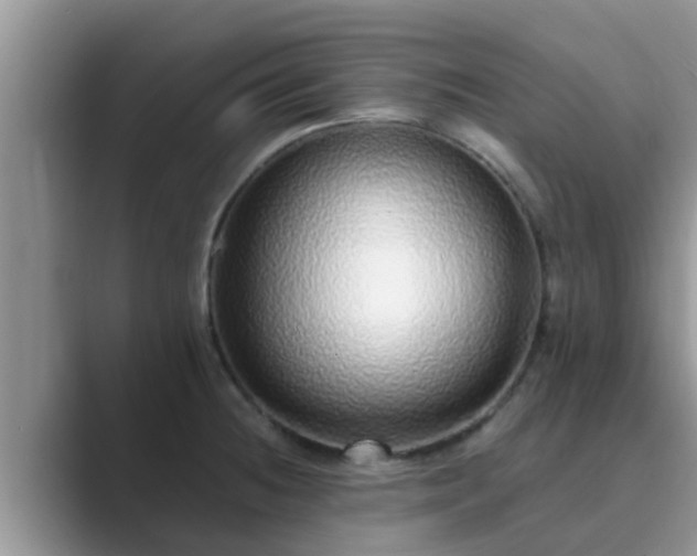 X0000089881236200707051204