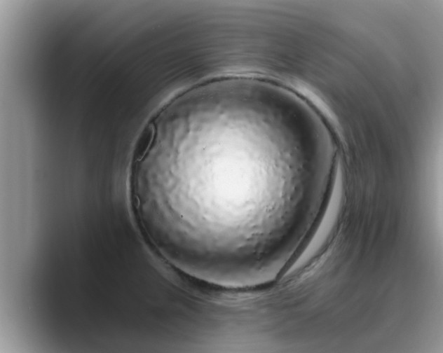 X0000089881237200707051204