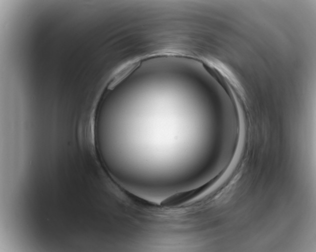 X0000089881238200707051204