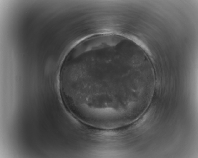 X0000089881239200707051204