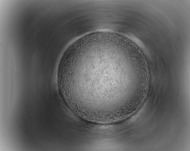 X0000089881240200707051204