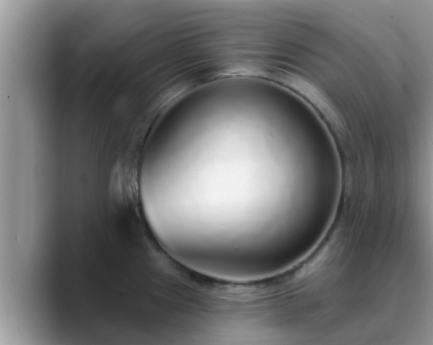 X0000089881241200707051204