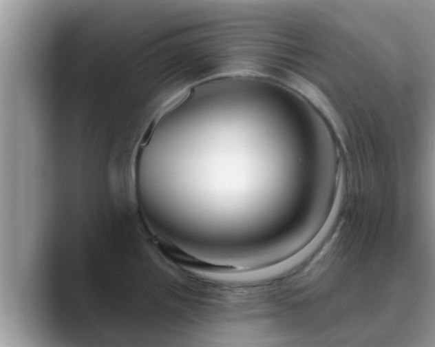 X0000089881242200707051204