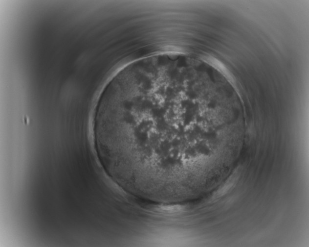 X0000089881243200707051204