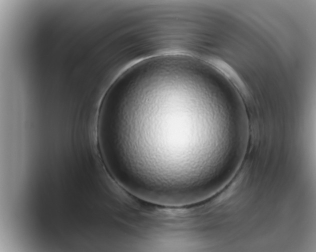 X0000089881244200707051204