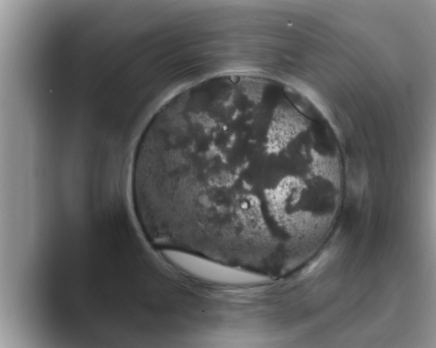 X0000089881245200707051204