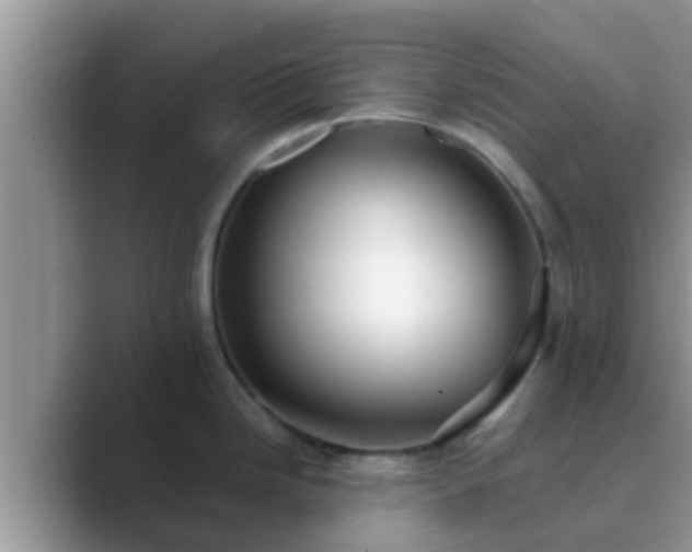 X0000089881246200707051204