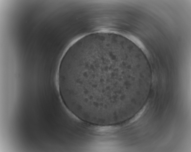 X0000089881247200707051204