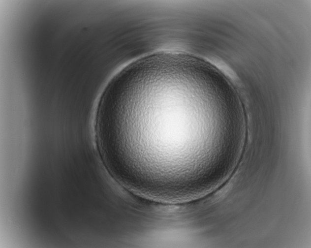 X0000089881248200707051204