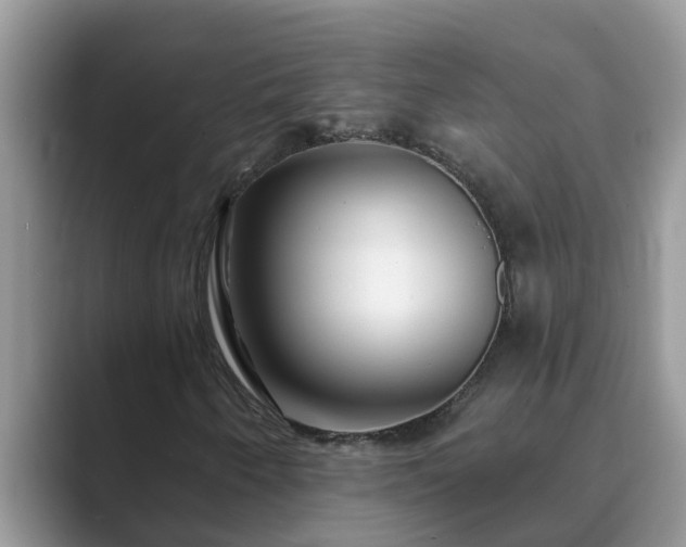 X0000089881250200707051204