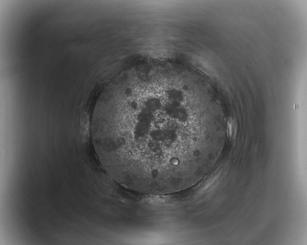 X0000089881251200707051204