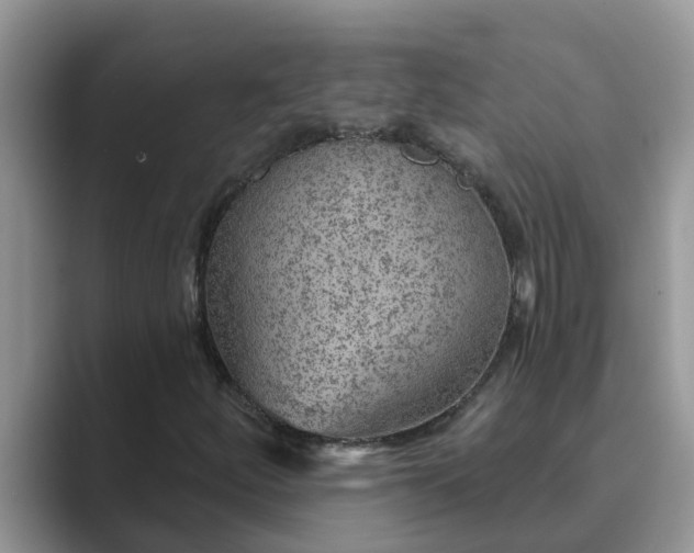 X0000089881252200707051204