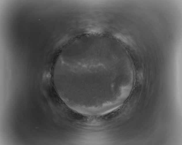 X0000089881254200707051204