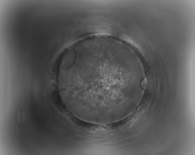 X0000089881255200707051204