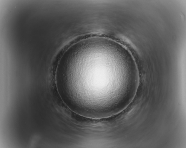 X0000089881256200707051204