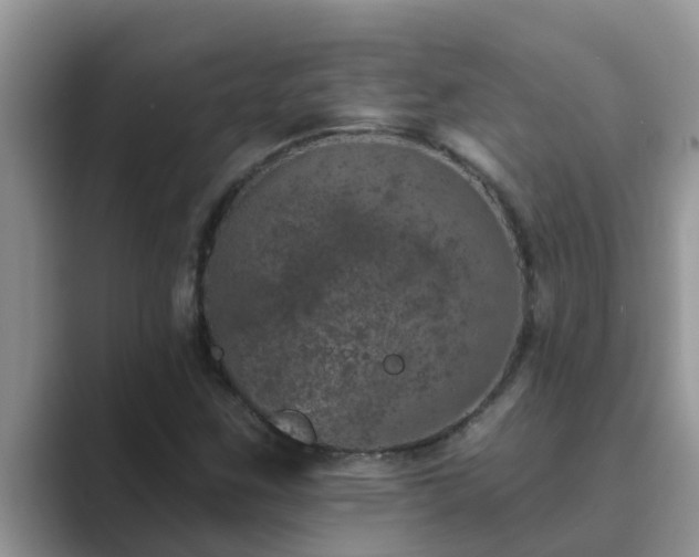 X0000089881259200707051204