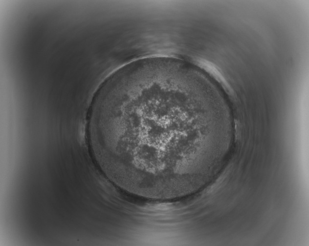 X0000089881260200707051204