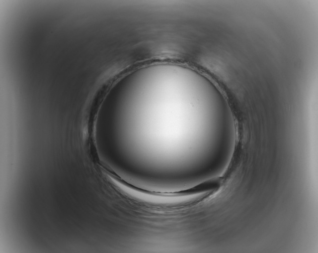 X0000089881261200707051204