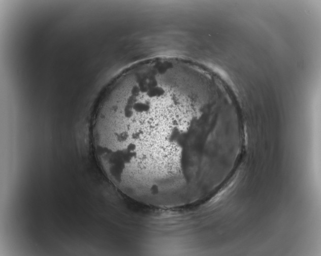 X0000089881263200707051203