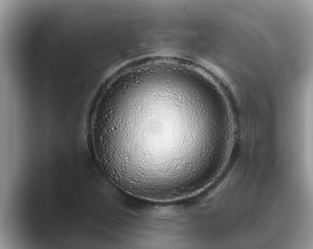 X0000089881264200707051203