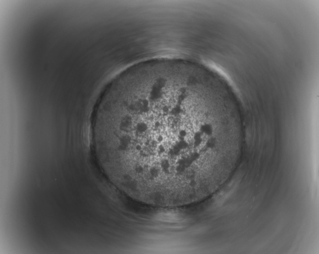 X0000089881267200707051203