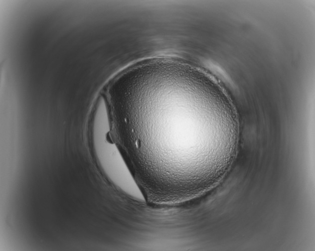 X0000089881268200707051203