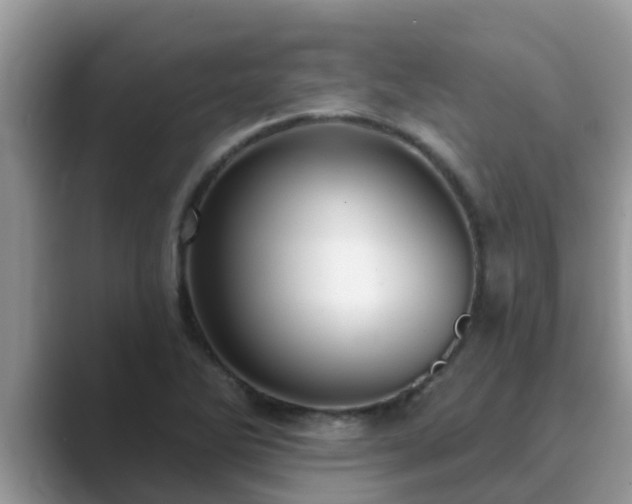 X0000089881270200707051203