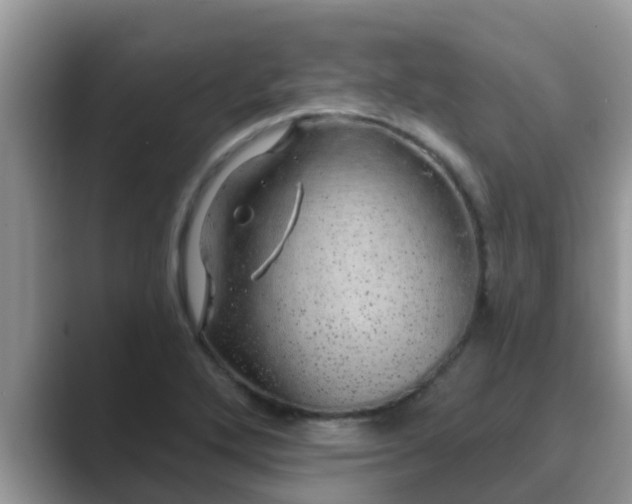 X0000089881272200707051203