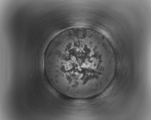 X0000089881275200707051203