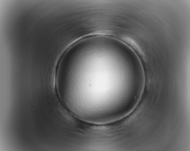 X0000089881276200707051203