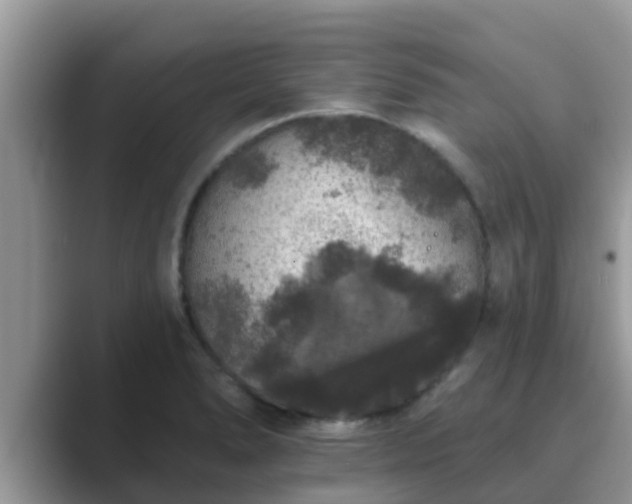 X0000089881278200707051203