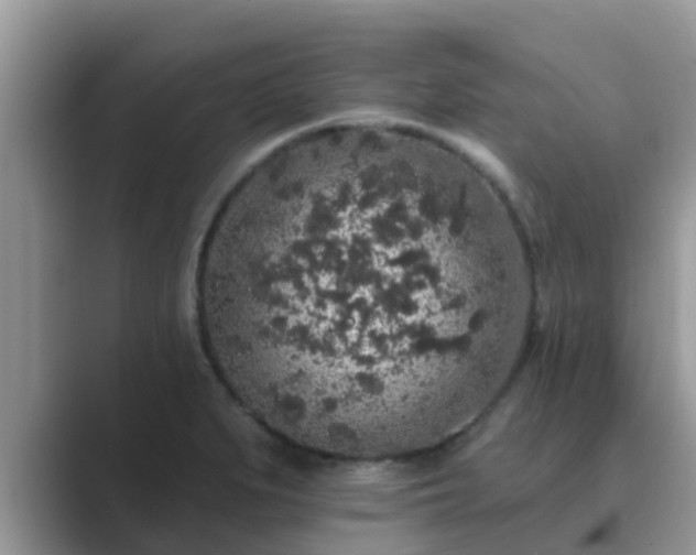 X0000089881279200707051203