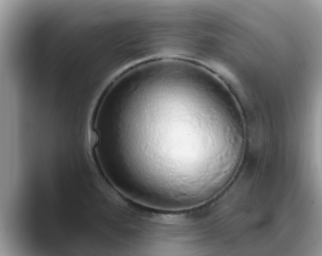 X0000089881280200707051203