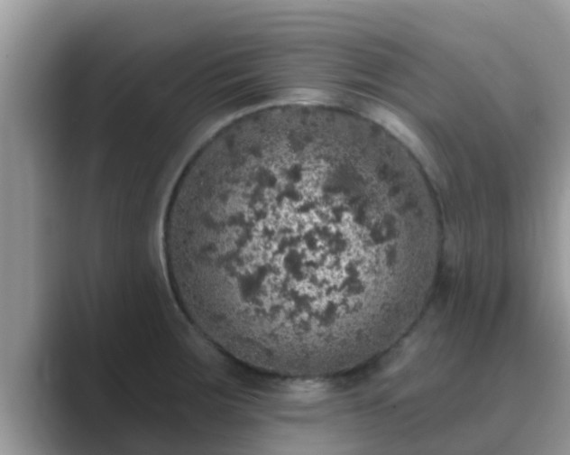 X0000089881283200707051203