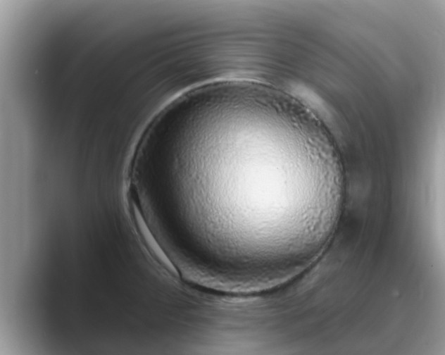 X0000089881284200707051203