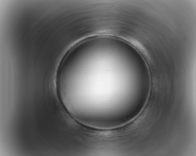 X0000089881288200707051203