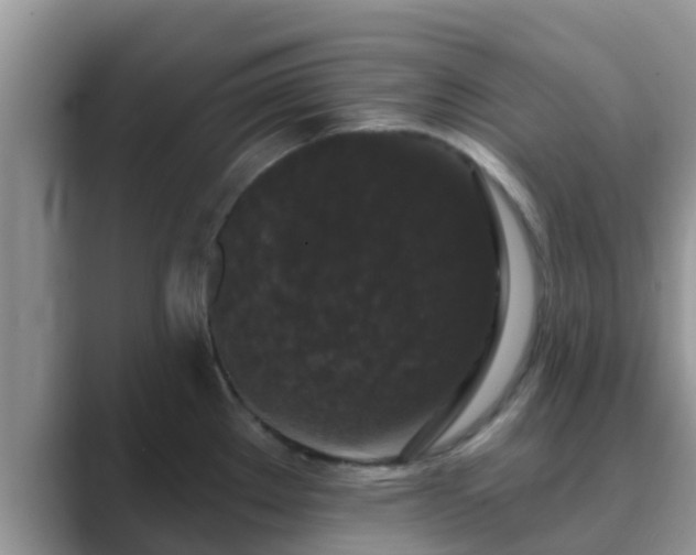 X0000089881289200707051203