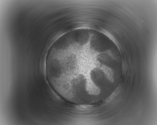 X0000089881290200707051203