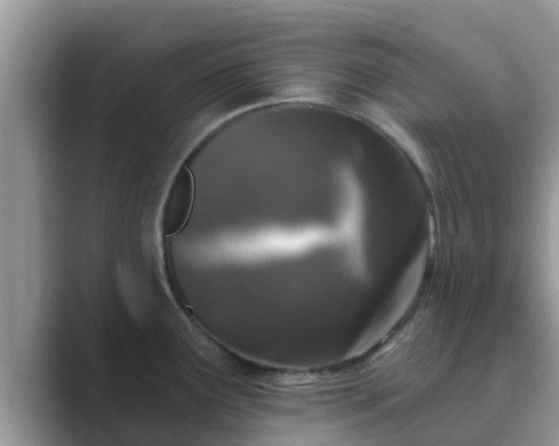 X0000089881291200707051203