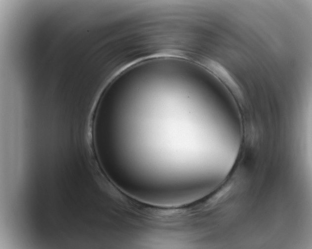 X0000089881292200707051203