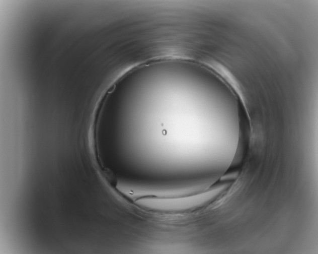 X0000089881293200707051203