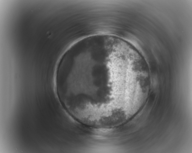 X0000089881294200707051203