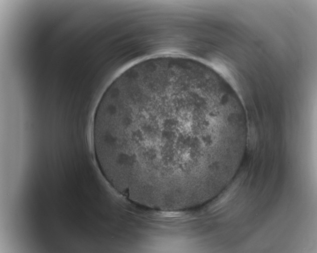 X0000089881295200707051203