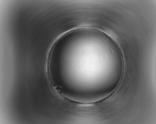 X0000089881296200707051203